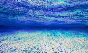 Ocean of Abundance - Admiral Blue