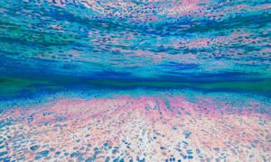 Ocean of Abundance - Love