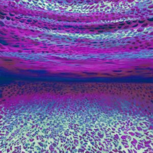 Ocean of Abundance - Disco Purple