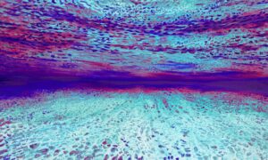 Ocean of Abundance - Magnetic