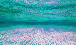 Ocean of Abundance - More Money