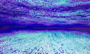 Ocean of Abundance - Contemplation