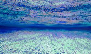 Ocean of Abundance - Serenity