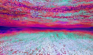 Ocean of Abundance - Tropical Sunset