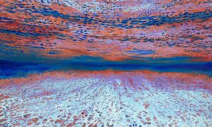 Ocean of Abundance - Turkish